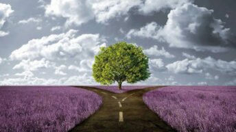 Тағдыр таңдау ма?